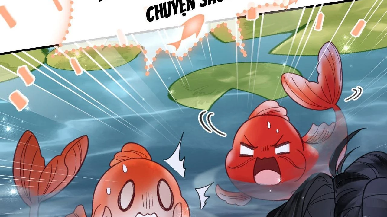 Đông Hải Tìm Mỹ Nhân Chapter 26 - Trang 2