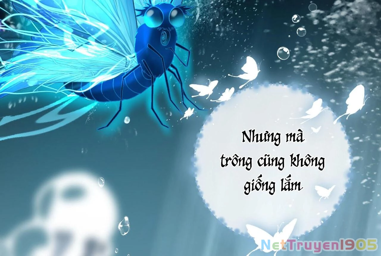 Đông Hải Tìm Mỹ Nhân Chapter 27 - Trang 2