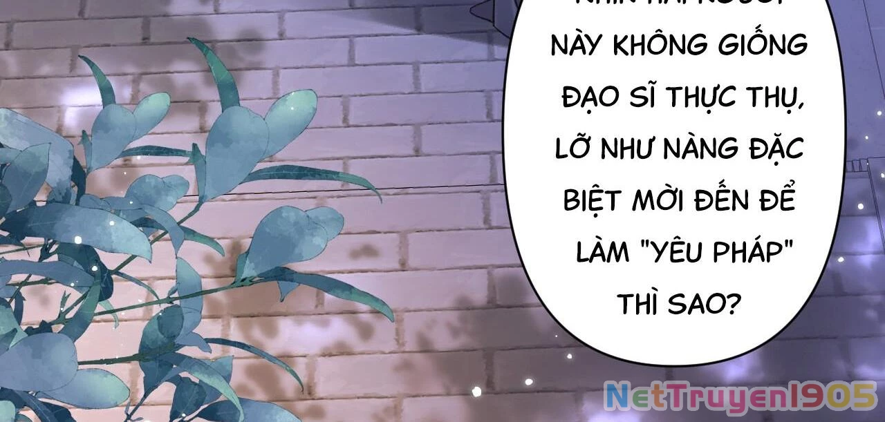 Đông Hải Tìm Mỹ Nhân Chapter 29 - Trang 2