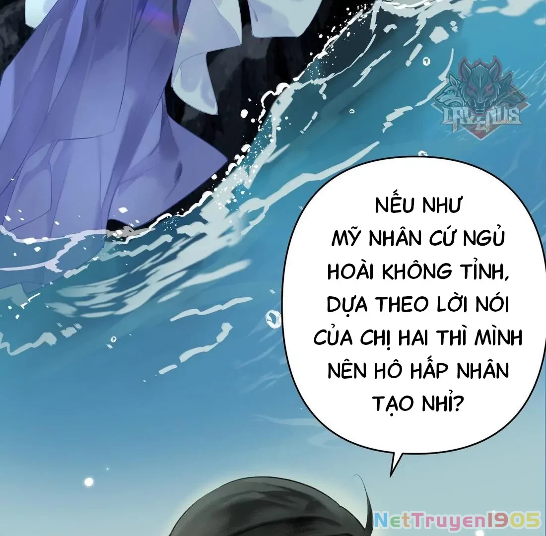 Đông Hải Tìm Mỹ Nhân Chapter 3 - Trang 2