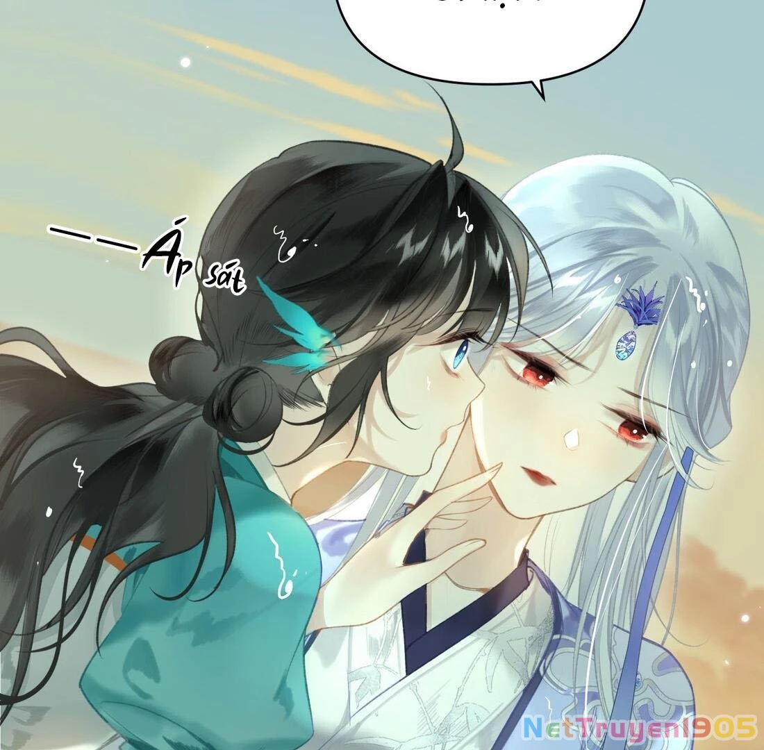 Đông Hải Tìm Mỹ Nhân Chapter 3 - Trang 2