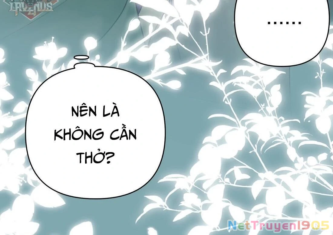 Đông Hải Tìm Mỹ Nhân Chapter 3 - Trang 2