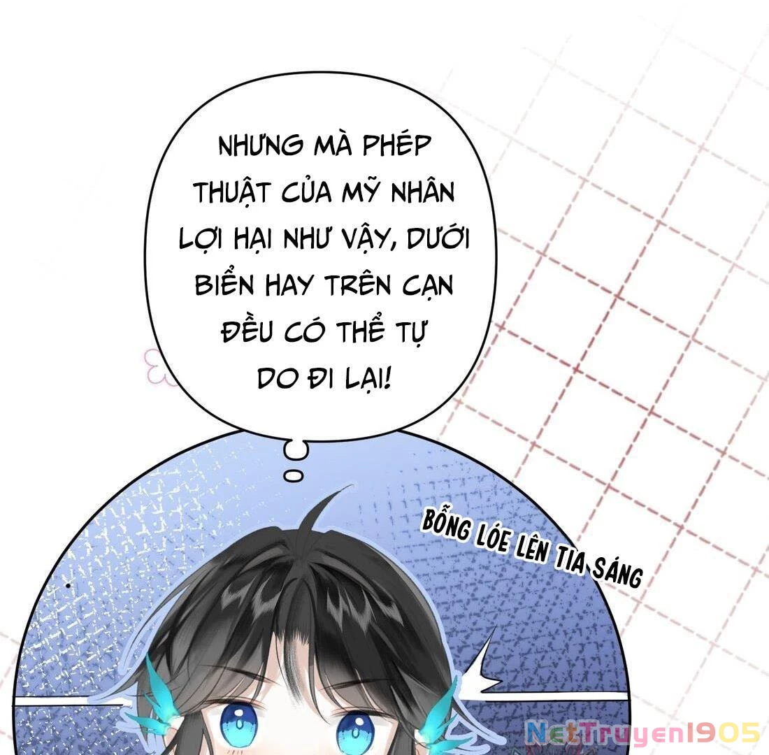 Đông Hải Tìm Mỹ Nhân Chapter 3 - Trang 2