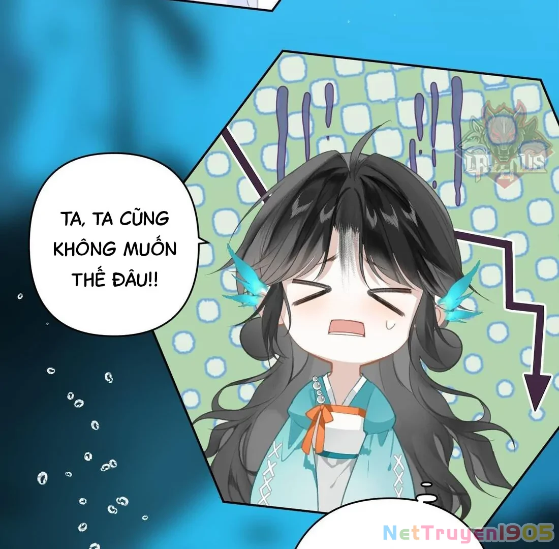 Đông Hải Tìm Mỹ Nhân Chapter 3 - Trang 2