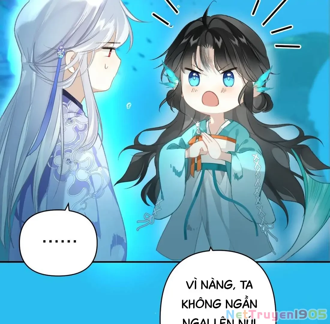 Đông Hải Tìm Mỹ Nhân Chapter 3 - Trang 2