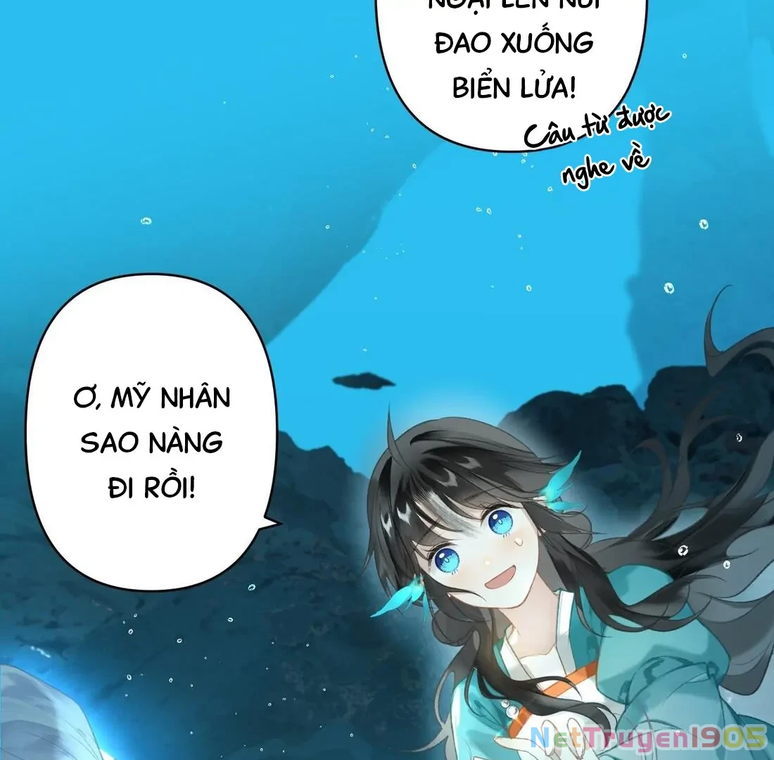 Đông Hải Tìm Mỹ Nhân Chapter 3 - Trang 2