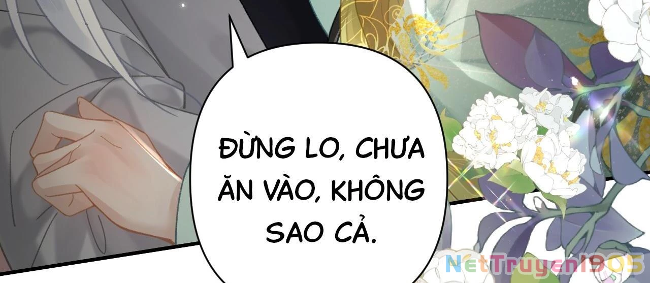 Đông Hải Tìm Mỹ Nhân Chapter 32 - Trang 2