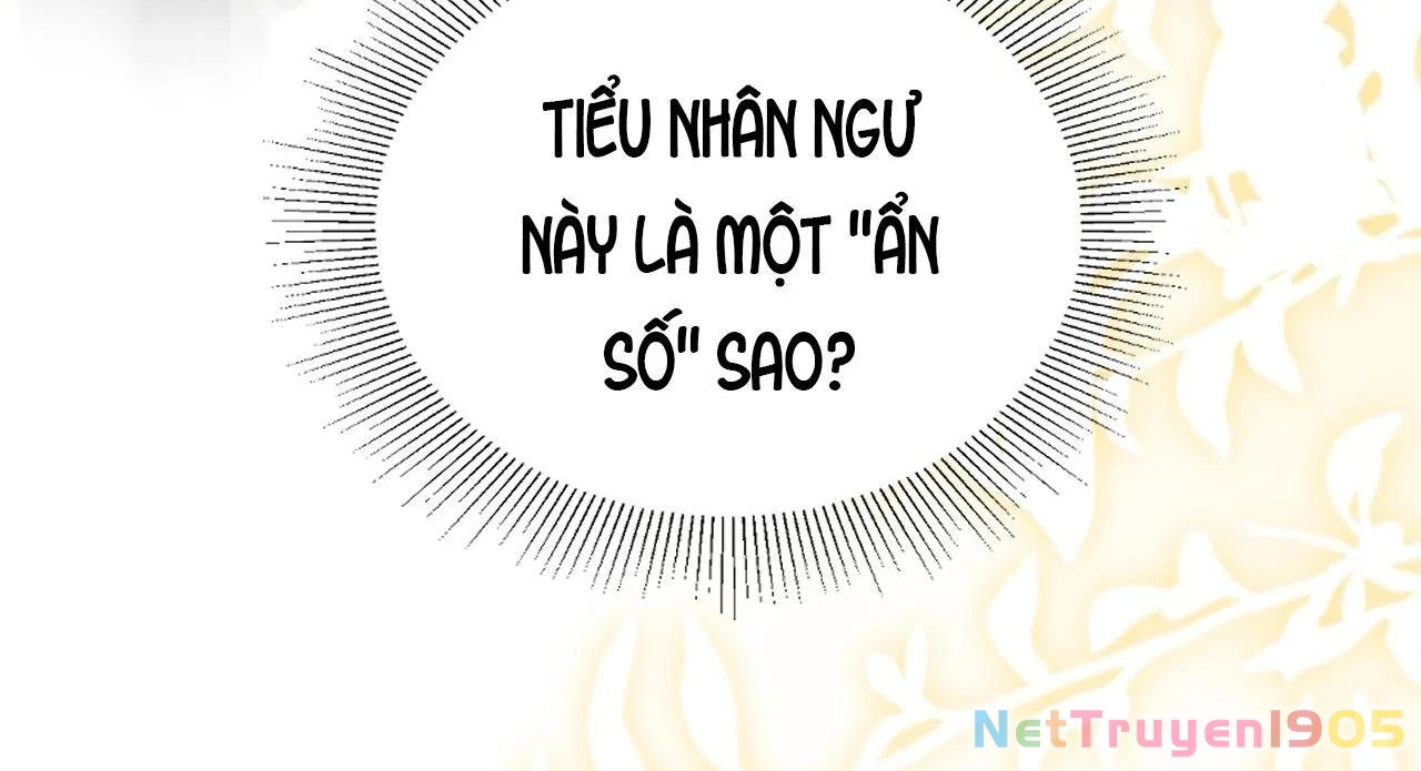 Đông Hải Tìm Mỹ Nhân Chapter 33 - Trang 2