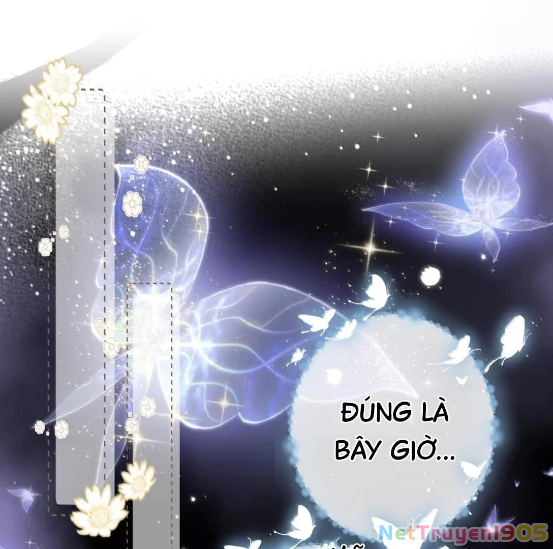 Đông Hải Tìm Mỹ Nhân Chapter 34 - Trang 2