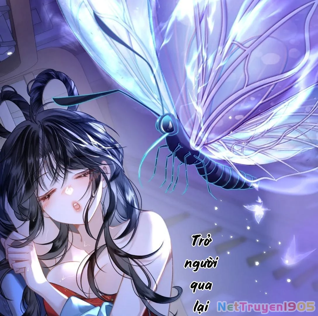 Đông Hải Tìm Mỹ Nhân Chapter 34 - Trang 2
