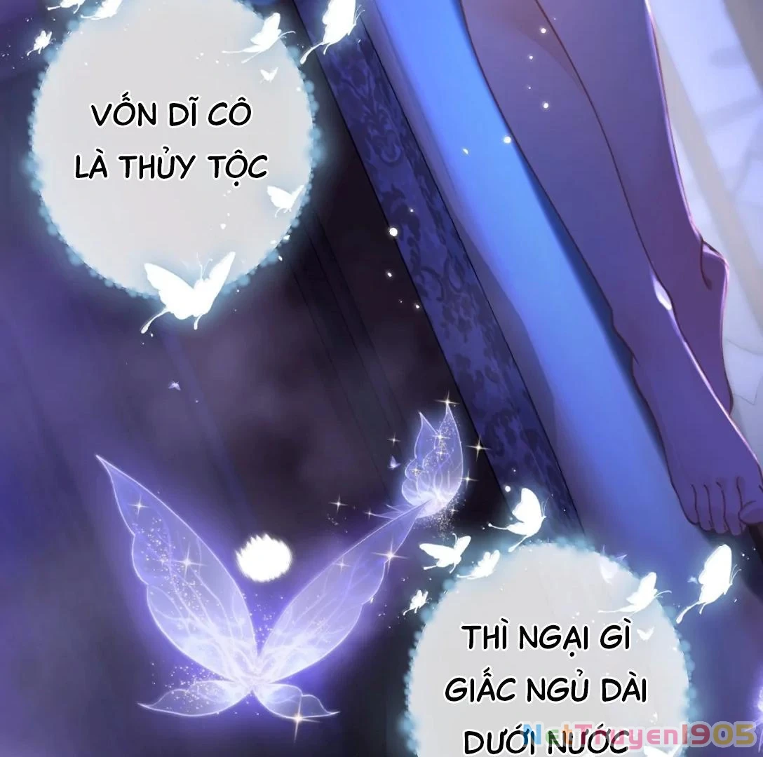 Đông Hải Tìm Mỹ Nhân Chapter 34 - Trang 2
