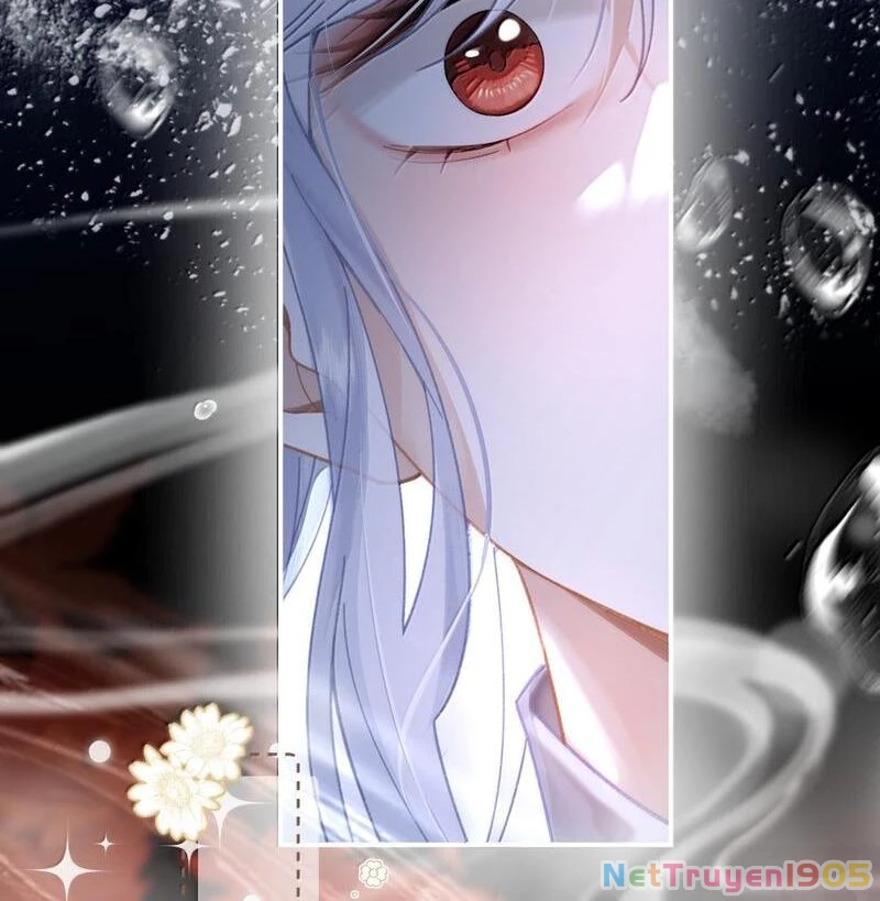 Đông Hải Tìm Mỹ Nhân Chapter 36 - Trang 2