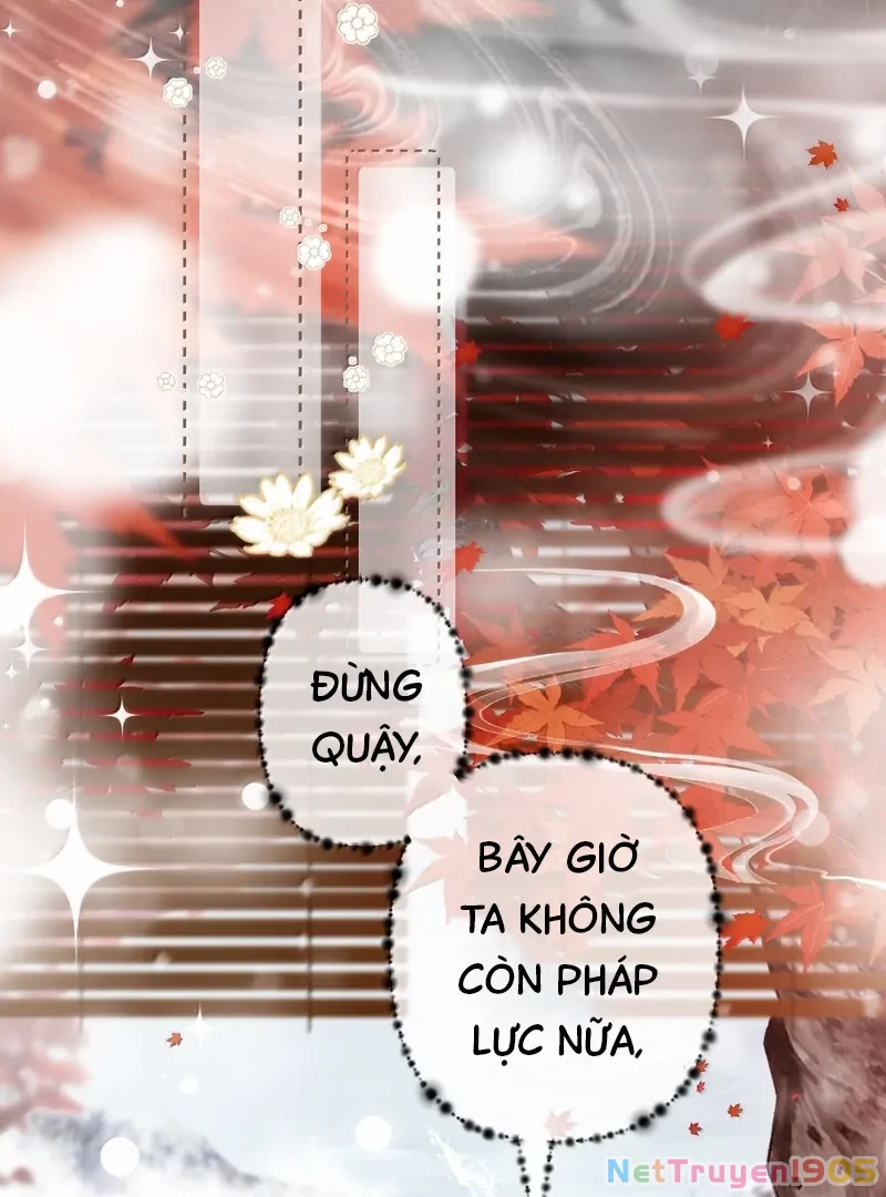 Đông Hải Tìm Mỹ Nhân Chapter 36 - Trang 2