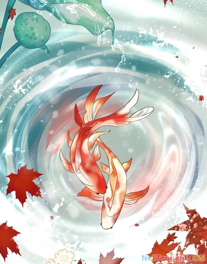 Đông Hải Tìm Mỹ Nhân Chapter 36 - Trang 2