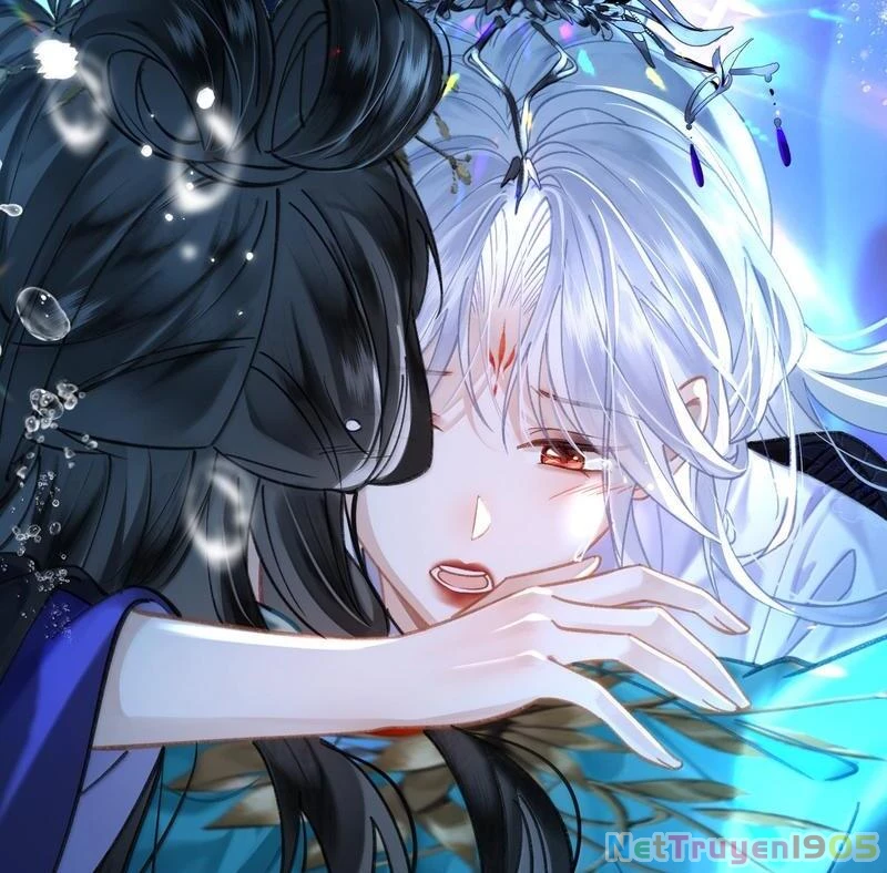 Đông Hải Tìm Mỹ Nhân Chapter 36 - Trang 2
