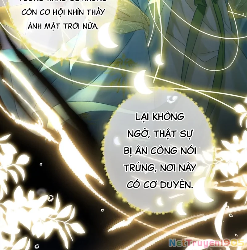 Đông Hải Tìm Mỹ Nhân Chapter 37 - Trang 2