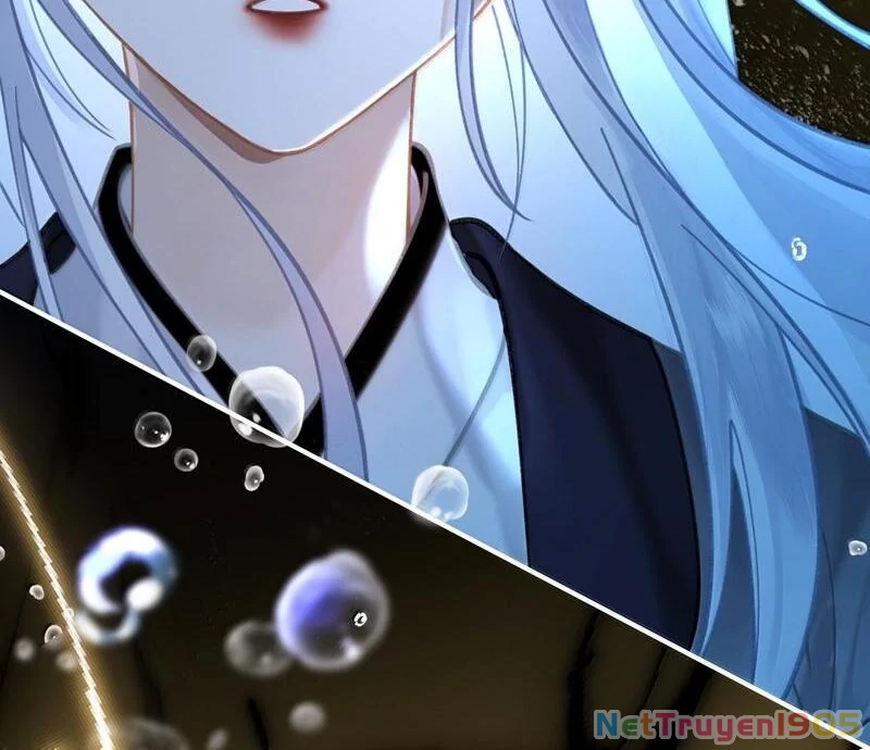 Đông Hải Tìm Mỹ Nhân Chapter 37 - Trang 2