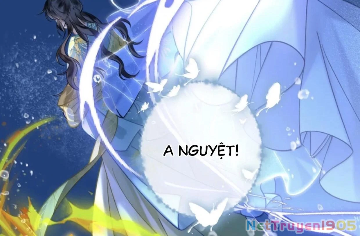 Đông Hải Tìm Mỹ Nhân Chapter 38 - Trang 2