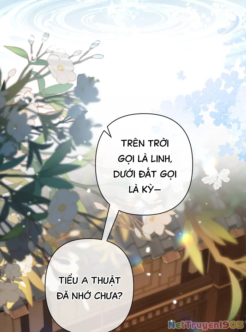 Đông Hải Tìm Mỹ Nhân Chapter 39 - Trang 2