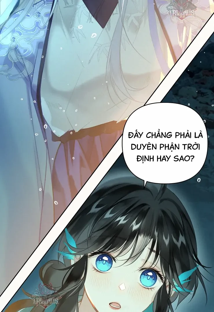 Đông Hải Tìm Mỹ Nhân Chapter 4 - Trang 2