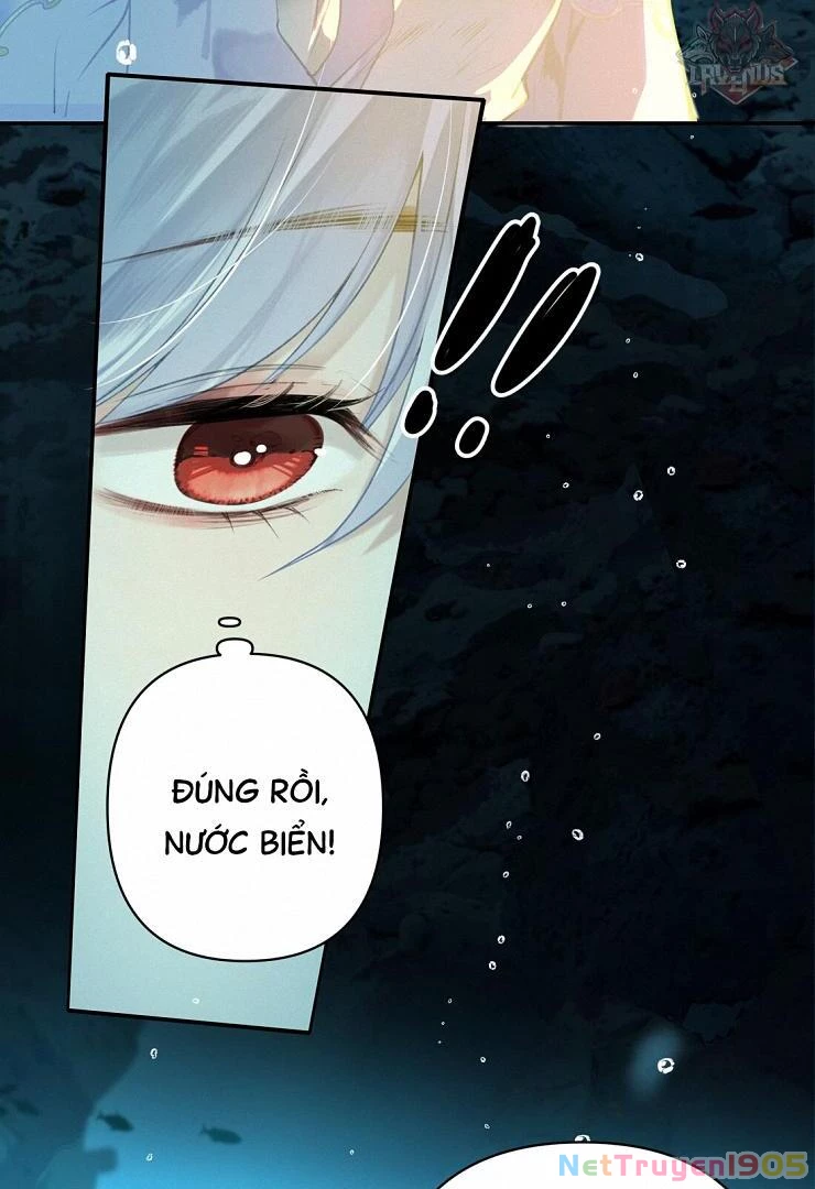 Đông Hải Tìm Mỹ Nhân Chapter 4 - Trang 2