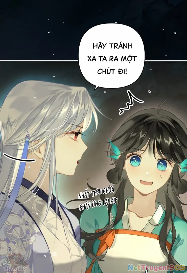 Đông Hải Tìm Mỹ Nhân Chapter 4 - Trang 2