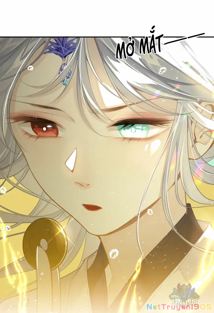 Đông Hải Tìm Mỹ Nhân Chapter 4 - Trang 2