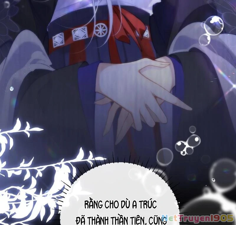 Đông Hải Tìm Mỹ Nhân Chapter 40 - Trang 2