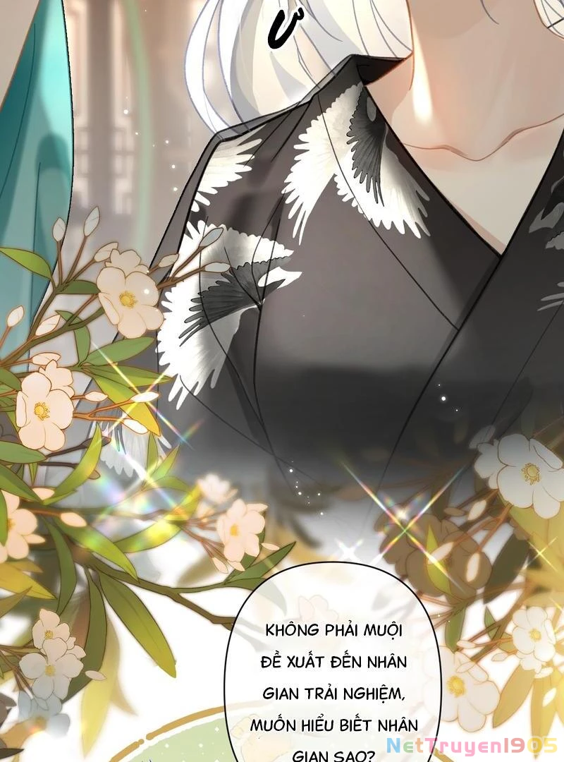 Đông Hải Tìm Mỹ Nhân Chapter 40 - Trang 2