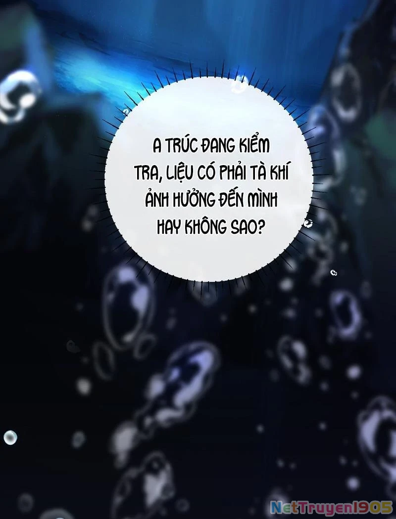 Đông Hải Tìm Mỹ Nhân Chapter 41 - Trang 2