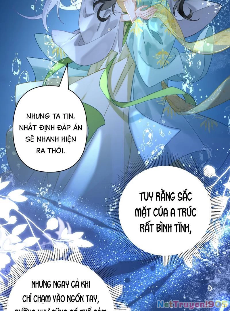Đông Hải Tìm Mỹ Nhân Chapter 41 - Trang 2