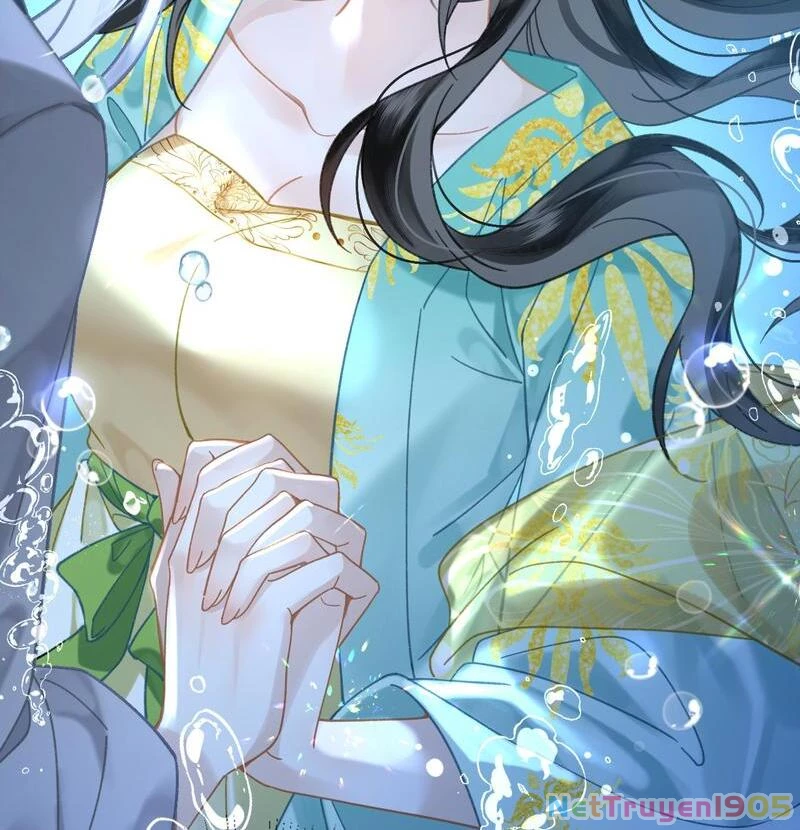 Đông Hải Tìm Mỹ Nhân Chapter 41 - Trang 2