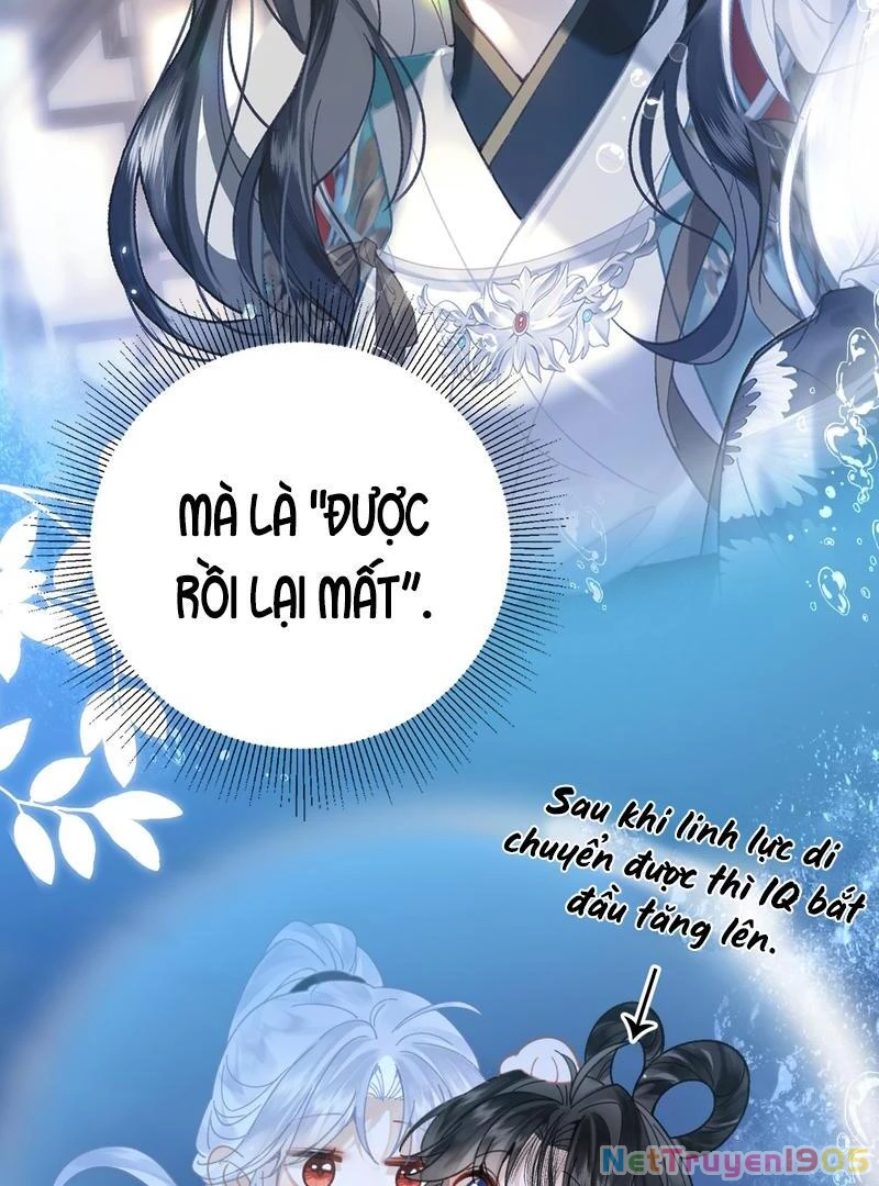 Đông Hải Tìm Mỹ Nhân Chapter 41 - Trang 2