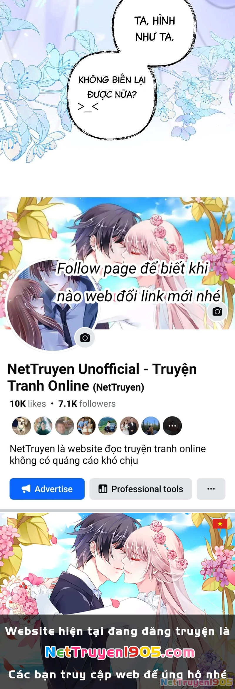 Đông Hải Tìm Mỹ Nhân Chapter 41 - Trang 2