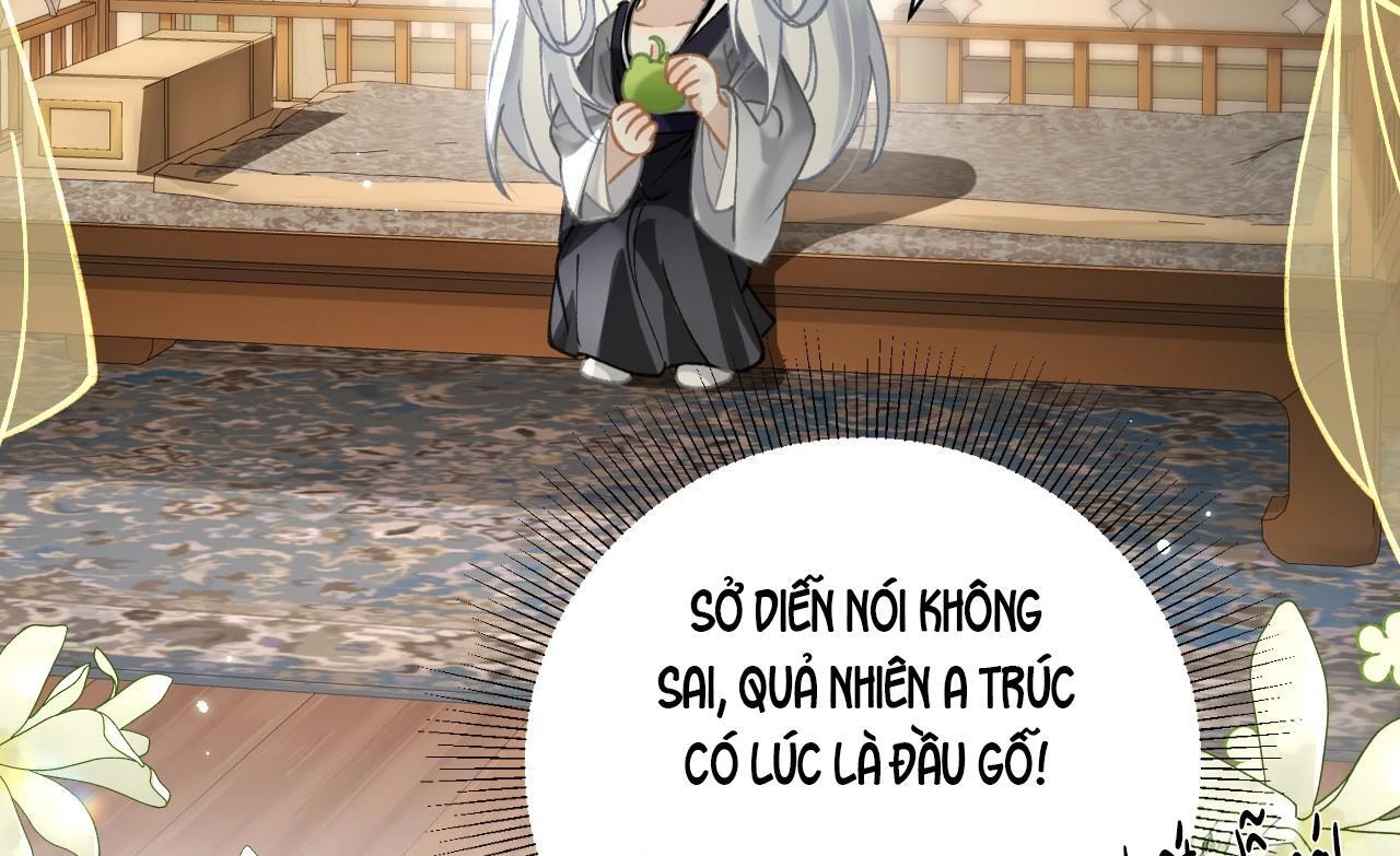 Đông Hải Tìm Mỹ Nhân Chapter 42 - Trang 2
