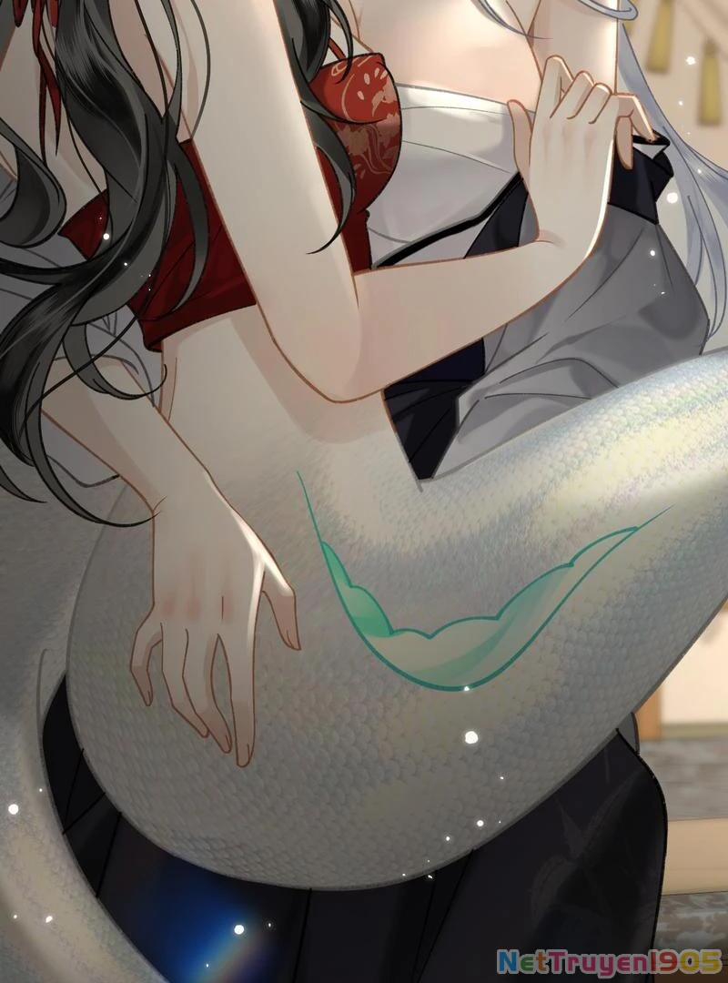 Đông Hải Tìm Mỹ Nhân Chapter 43 - Trang 2