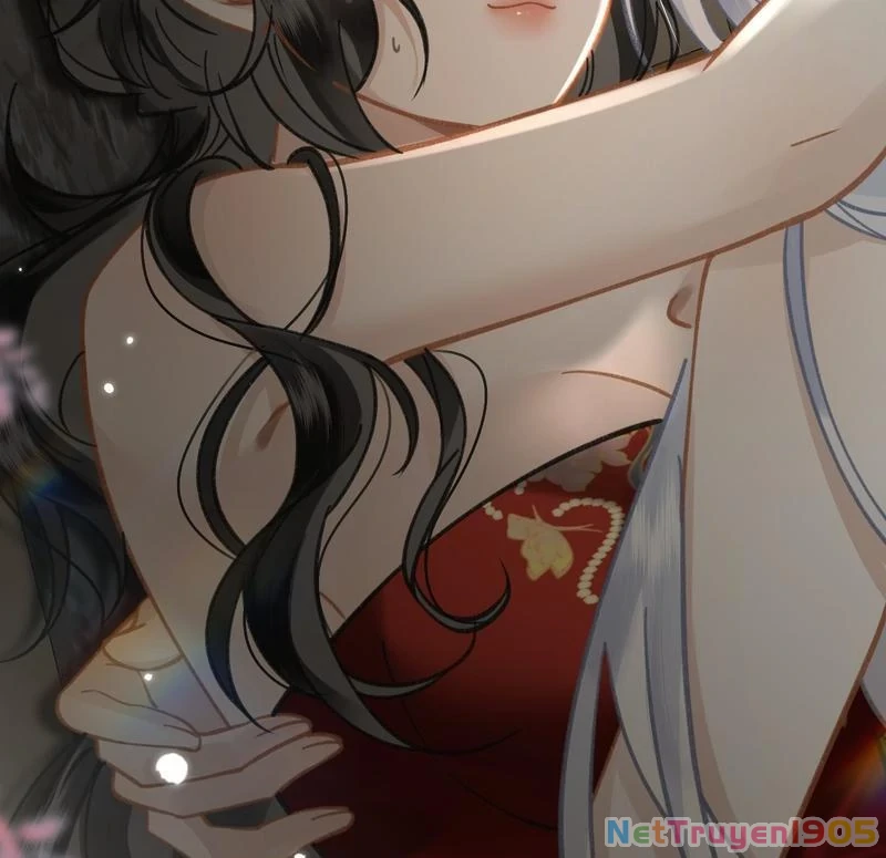Đông Hải Tìm Mỹ Nhân Chapter 43 - Trang 2