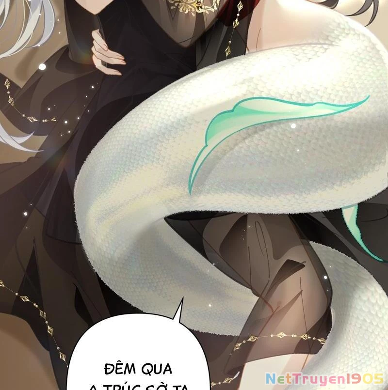Đông Hải Tìm Mỹ Nhân Chapter 44 - Trang 2