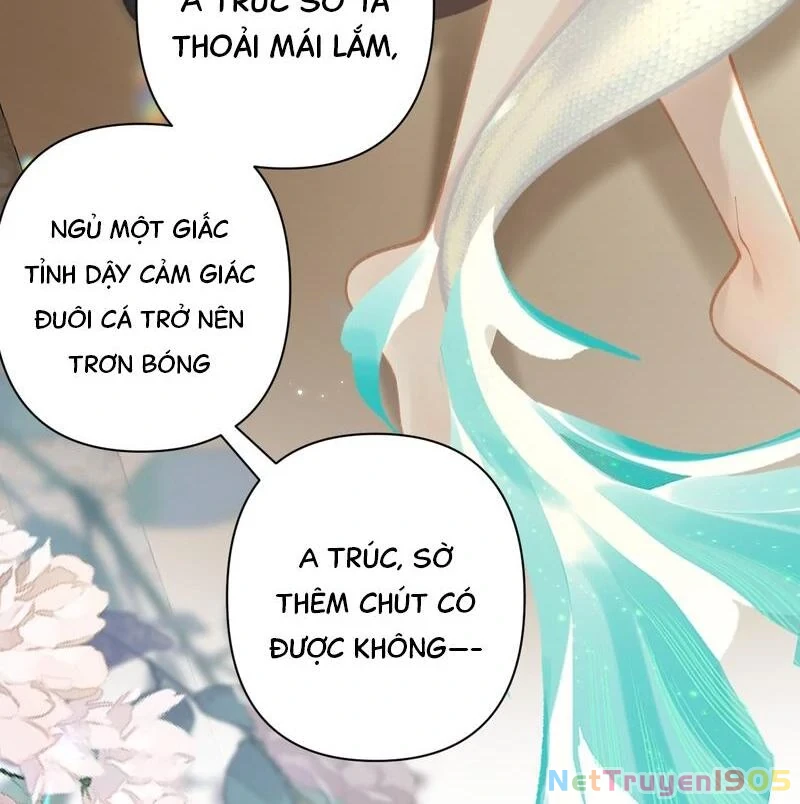 Đông Hải Tìm Mỹ Nhân Chapter 44 - Trang 2
