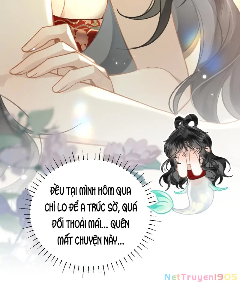 Đông Hải Tìm Mỹ Nhân Chapter 44 - Trang 2