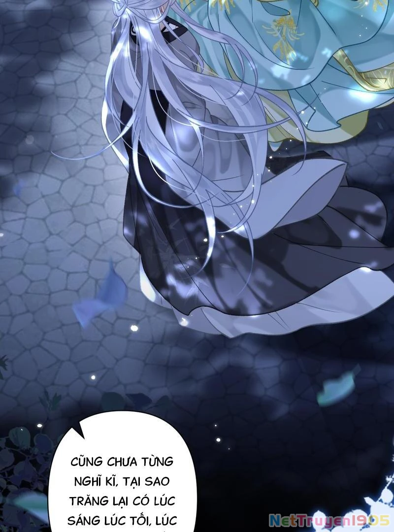 Đông Hải Tìm Mỹ Nhân Chapter 45 - Trang 2