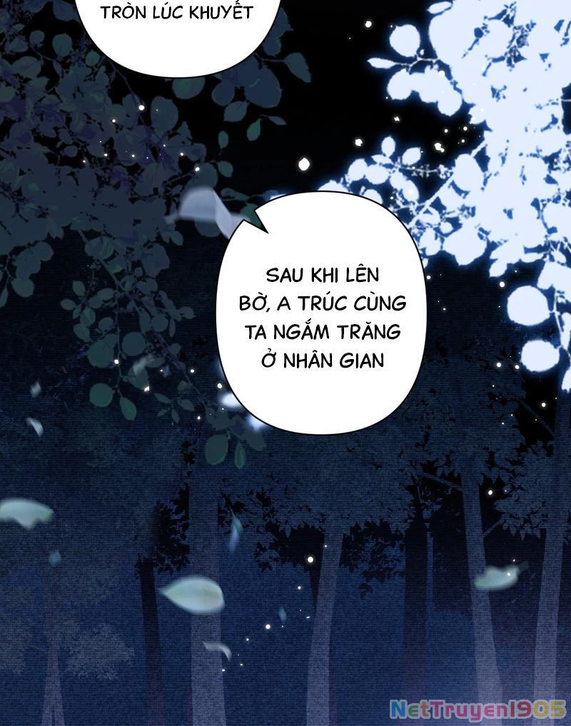 Đông Hải Tìm Mỹ Nhân Chapter 45 - Trang 2