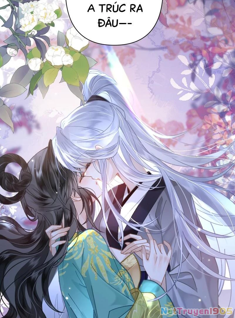 Đông Hải Tìm Mỹ Nhân Chapter 45 - Trang 2