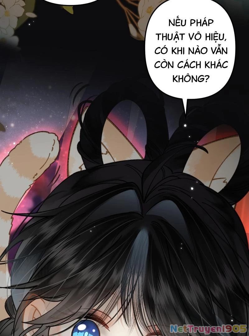 Đông Hải Tìm Mỹ Nhân Chapter 46 - Trang 2