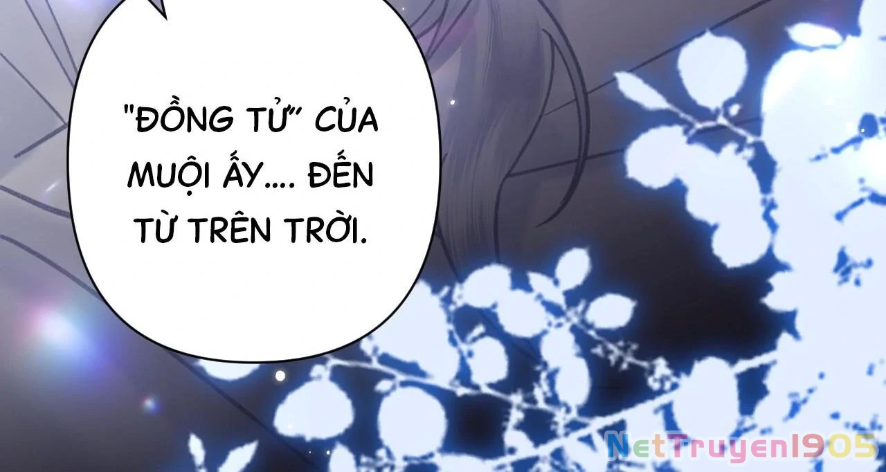 Đông Hải Tìm Mỹ Nhân Chapter 48 - Trang 2