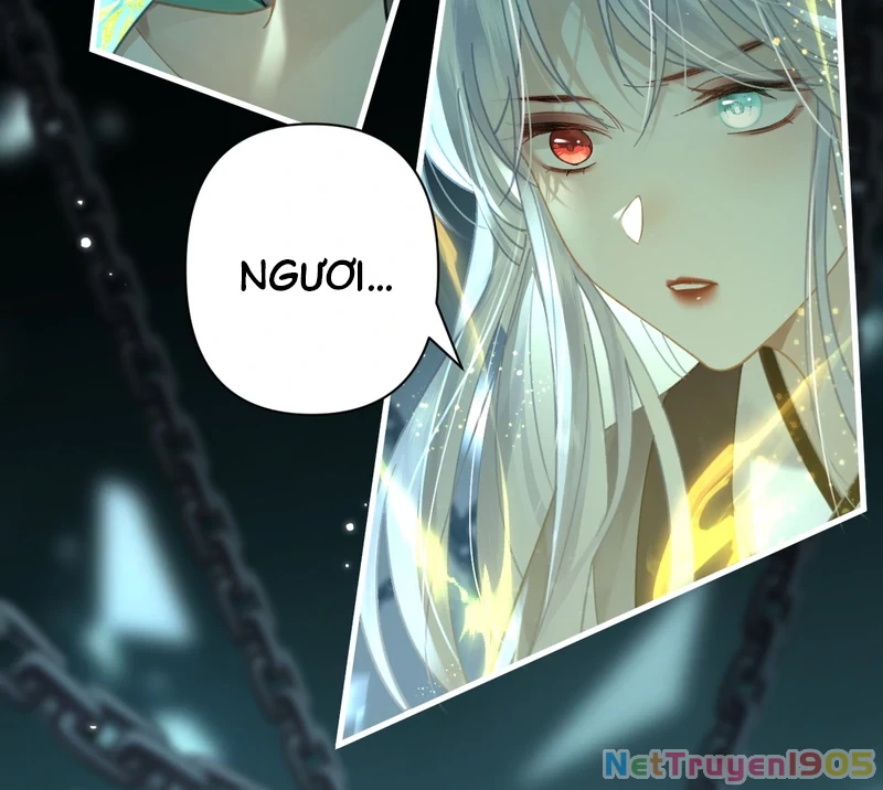 Đông Hải Tìm Mỹ Nhân Chapter 49 - Trang 2
