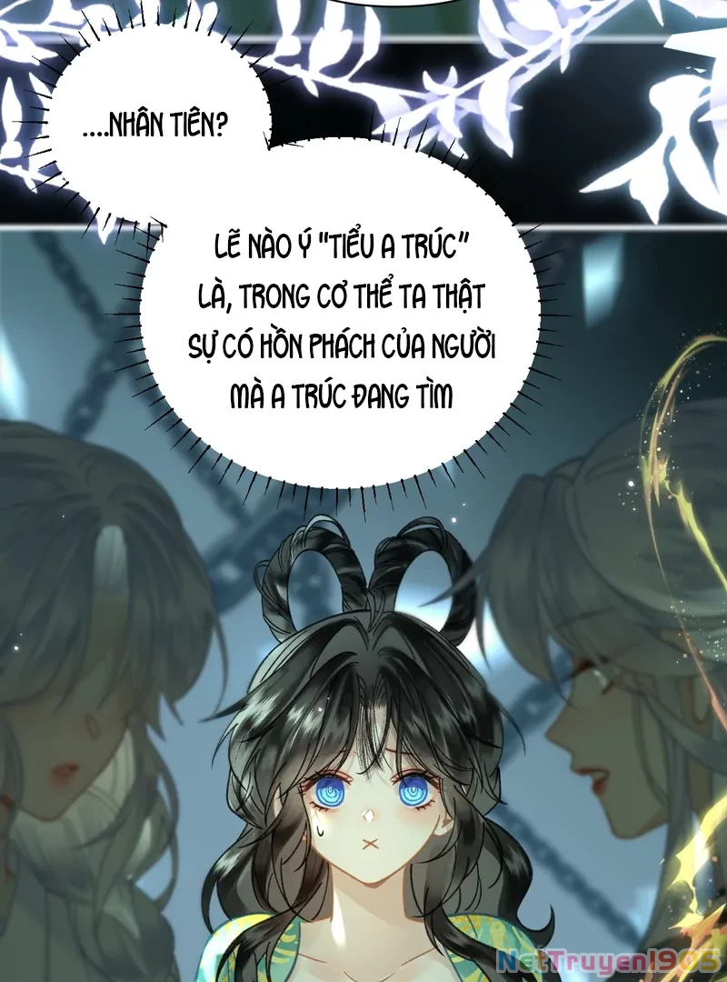 Đông Hải Tìm Mỹ Nhân Chapter 49 - Trang 2