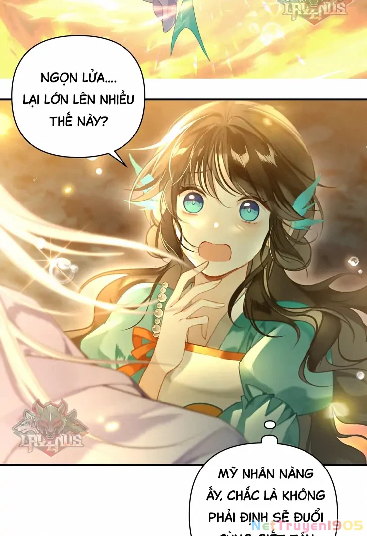 Đông Hải Tìm Mỹ Nhân Chapter 5 - Trang 2