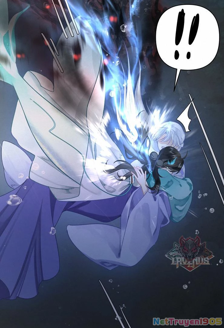 Đông Hải Tìm Mỹ Nhân Chapter 5 - Trang 2