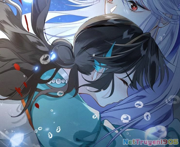Đông Hải Tìm Mỹ Nhân Chapter 5 - Trang 2
